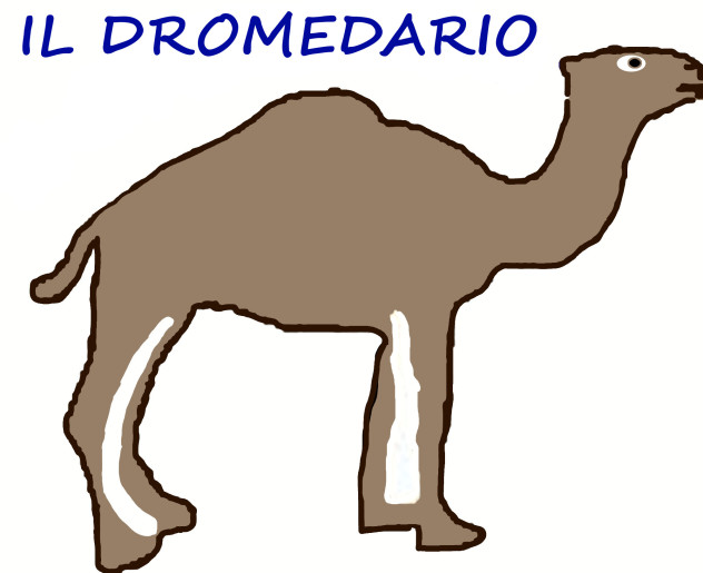 logo_Dromedario2